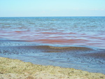 Punasest savist on saare idakalda vesi ka punane.