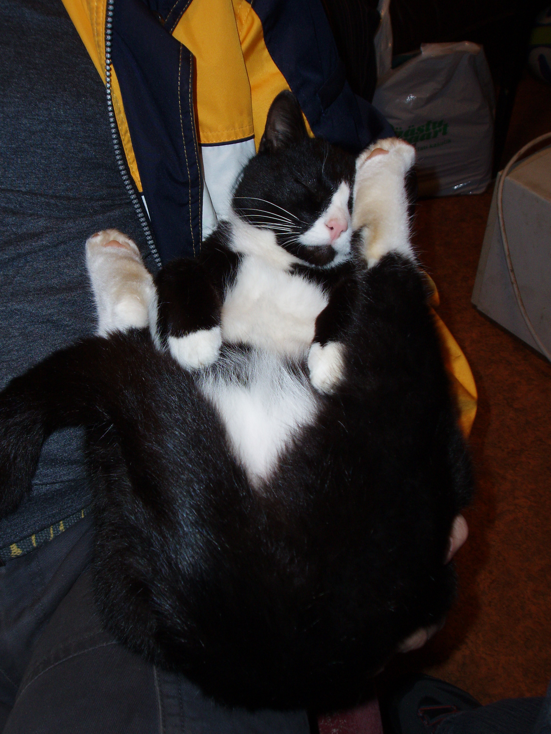 ... ja mõnusa asendi :)