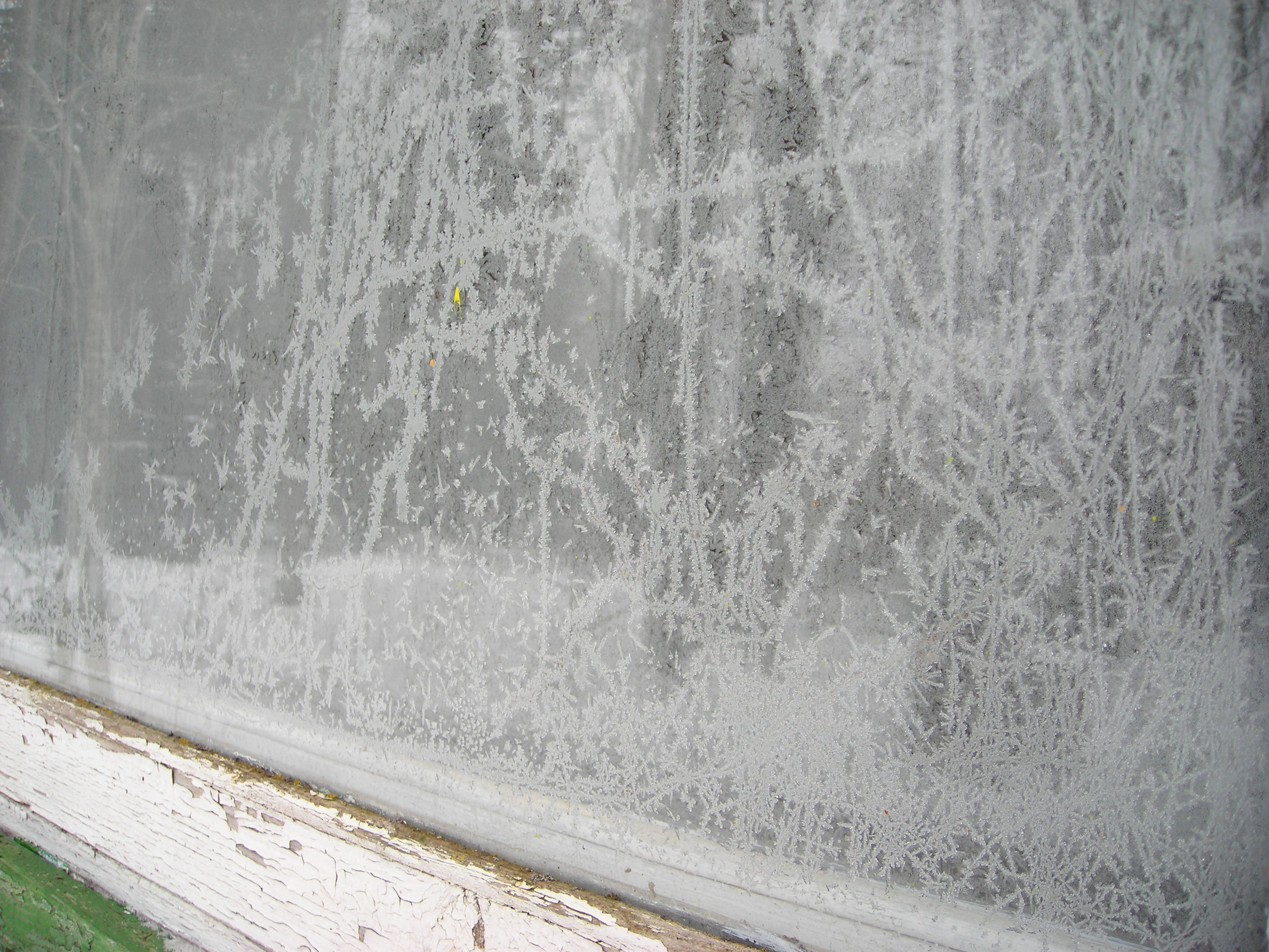 _ jaanuar2007 066.jpg