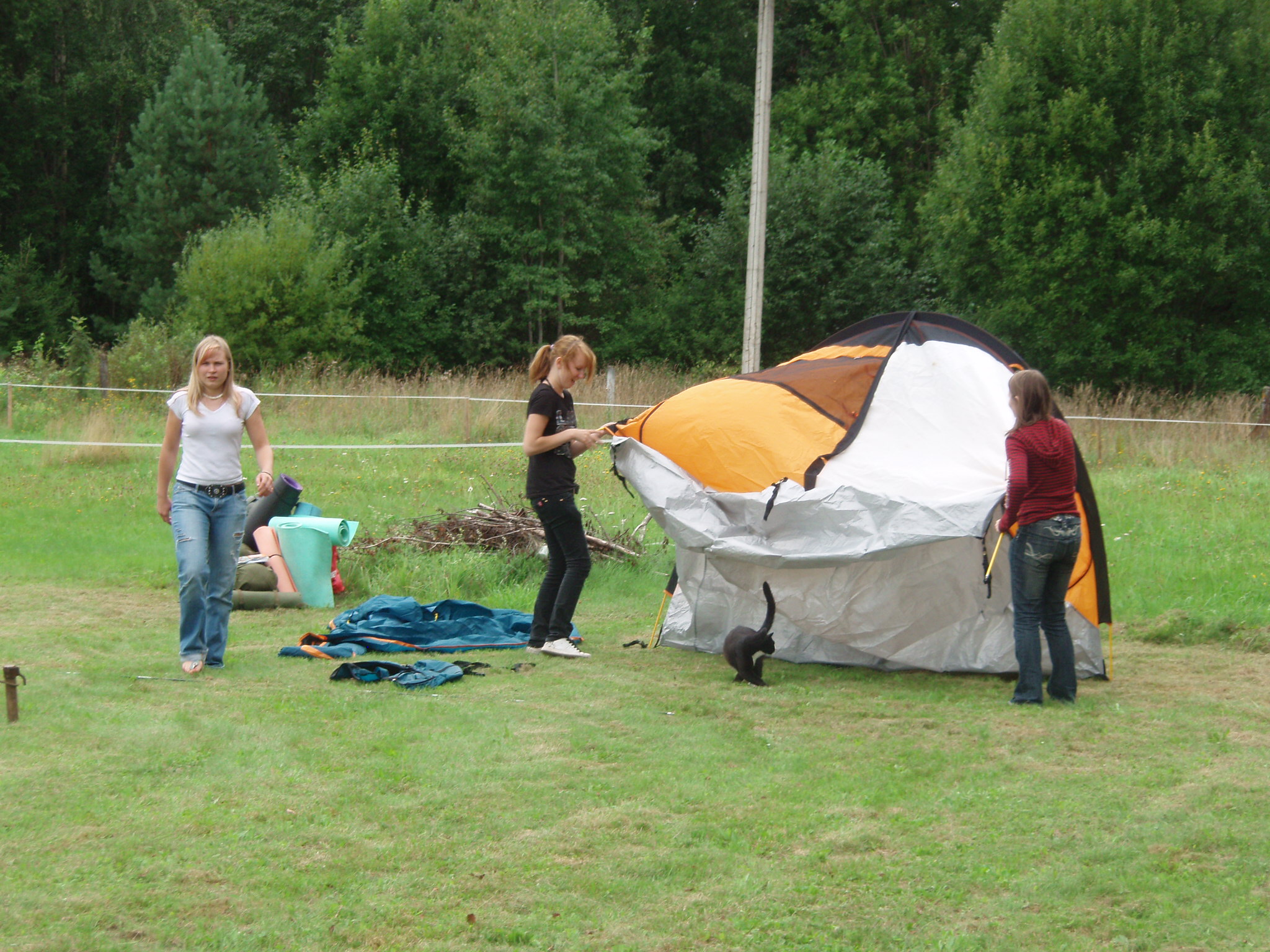 Korsaar tunneb ennast seltskonnas hästi