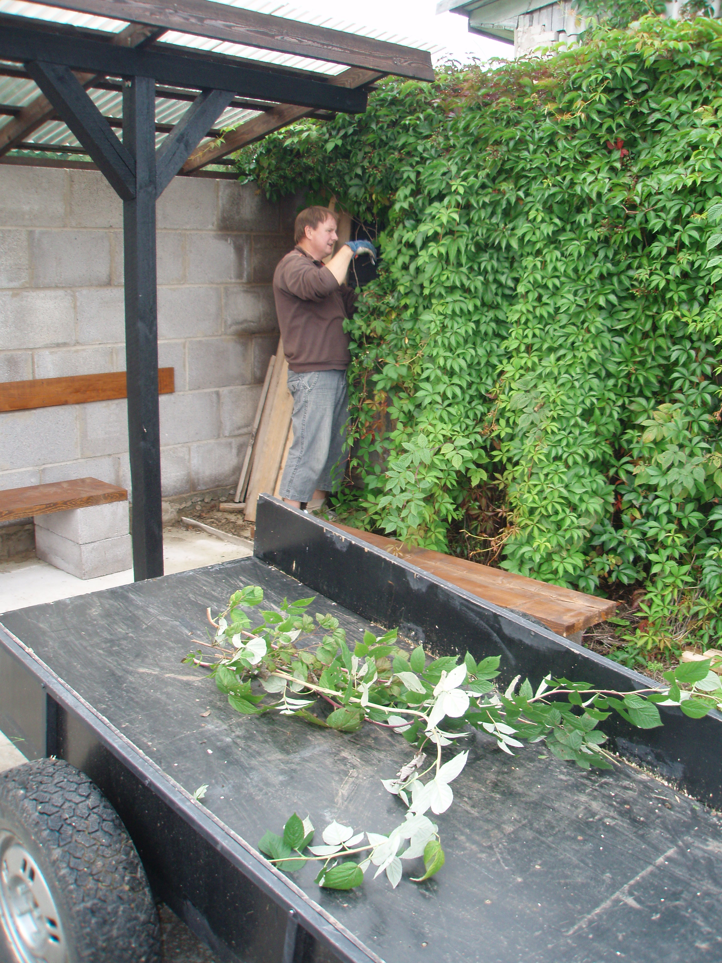 Sügis käes, aeg hakata viinamarju korjama :)