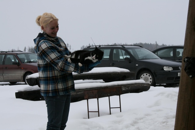 Harjutused Korsaariga