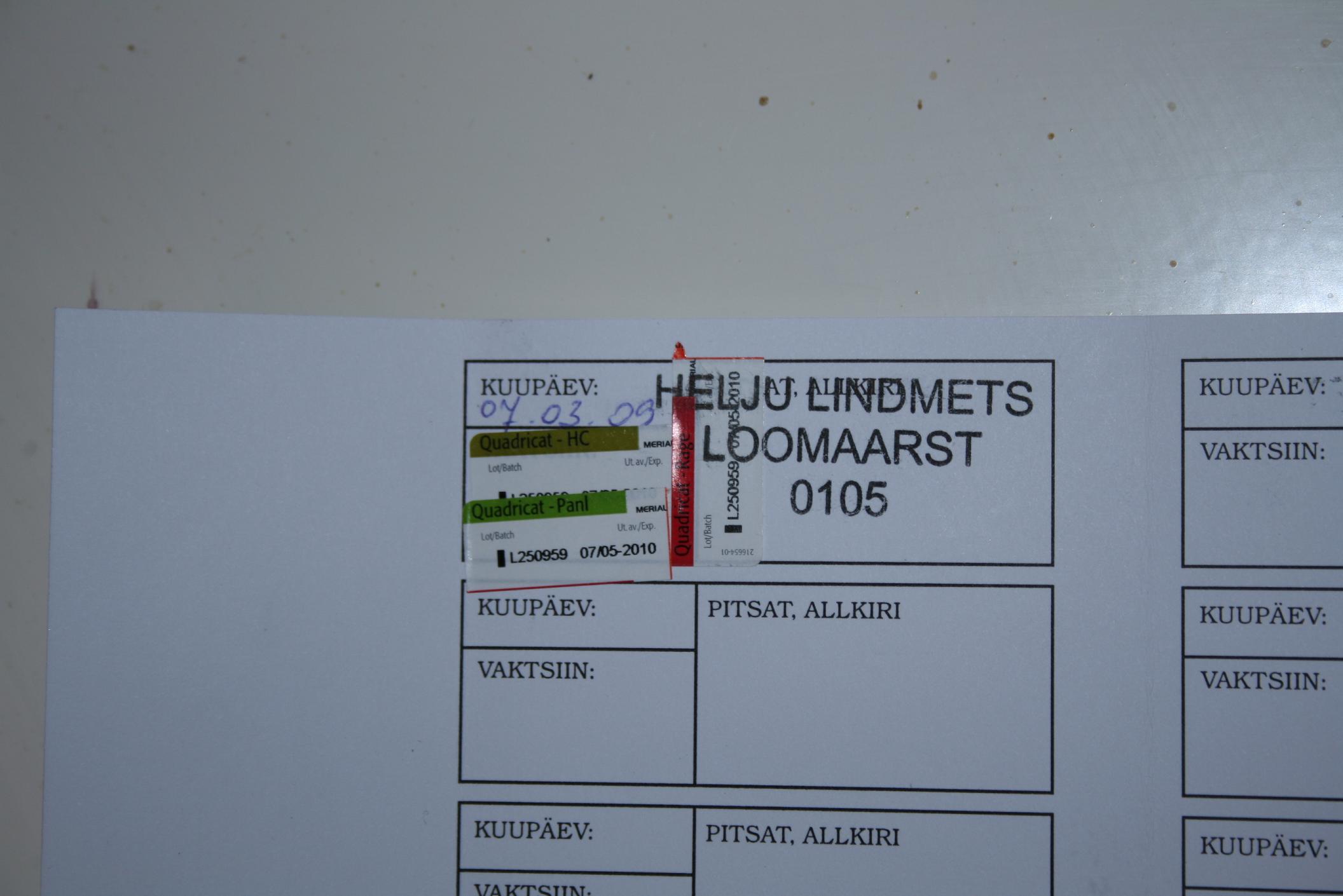 Korsaar läbis edukalt med.komisjoni