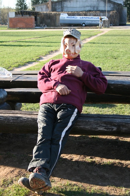 Sigadegripp jõudis Ridali...