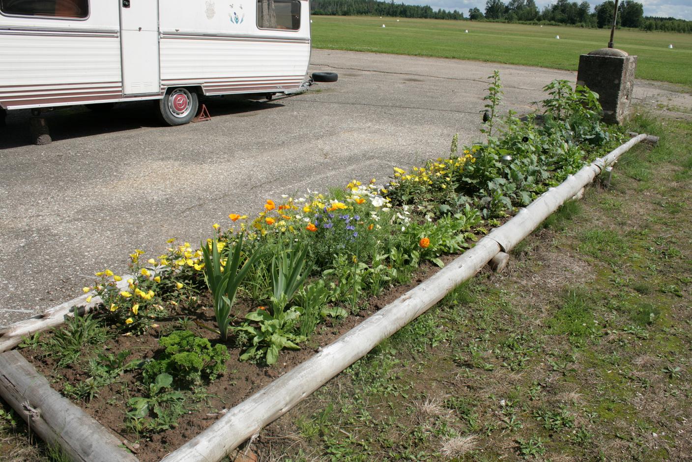 Nagu Tootsi peenar - siin on lilledest juurviljadeni