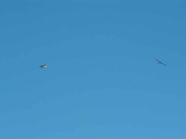 pict6100.jpg