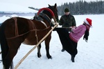 Rauli ja Ly juures hobustega sõitmas 19.detsembril 2010