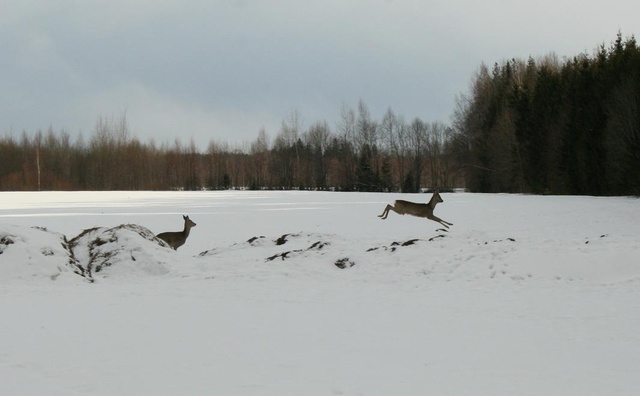 Varulennuväljal...