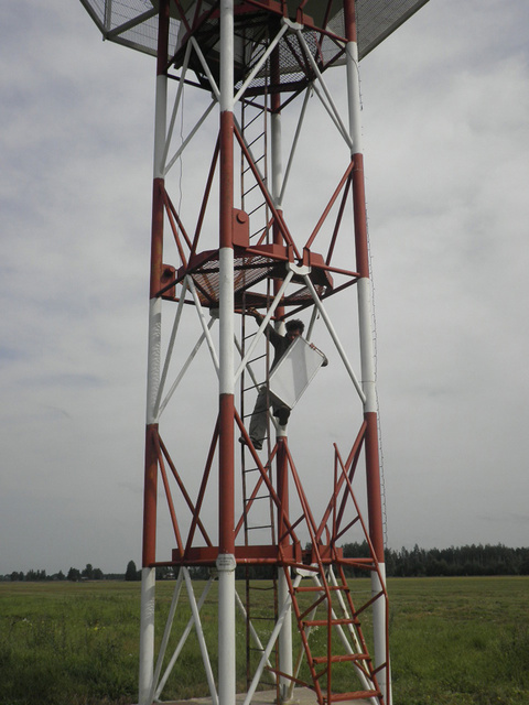 P8141162