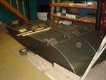 P8033444 _Large_.JPG
