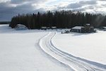 IMG_6186 _Medium_.JPG