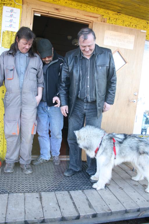 Koer astus lihtsalt Susi jalale...