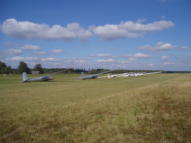 P9030005