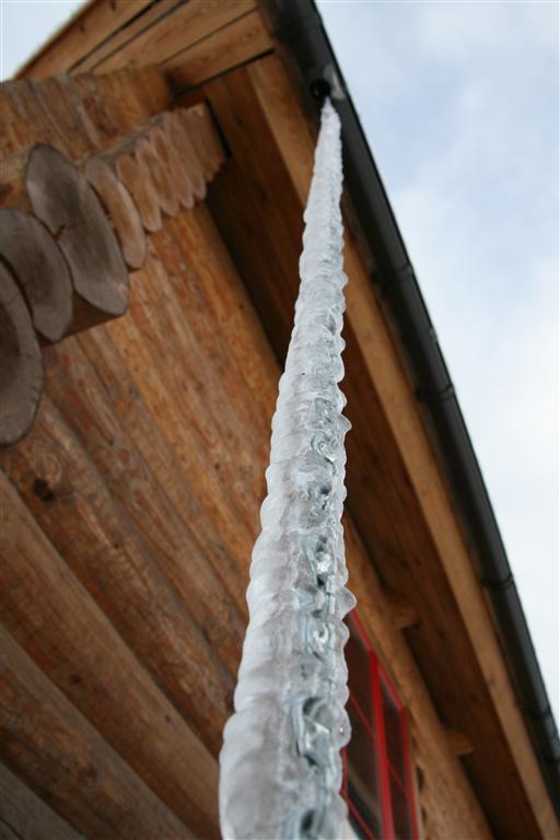 IMG_1446 _Medium_.JPG