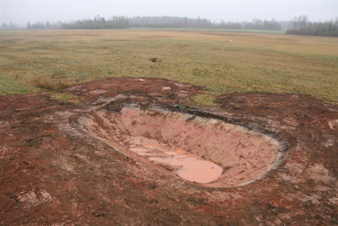 Ridali 011 _Medium_.jpg