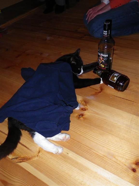 IMGP1527 _Medium_.JPG
