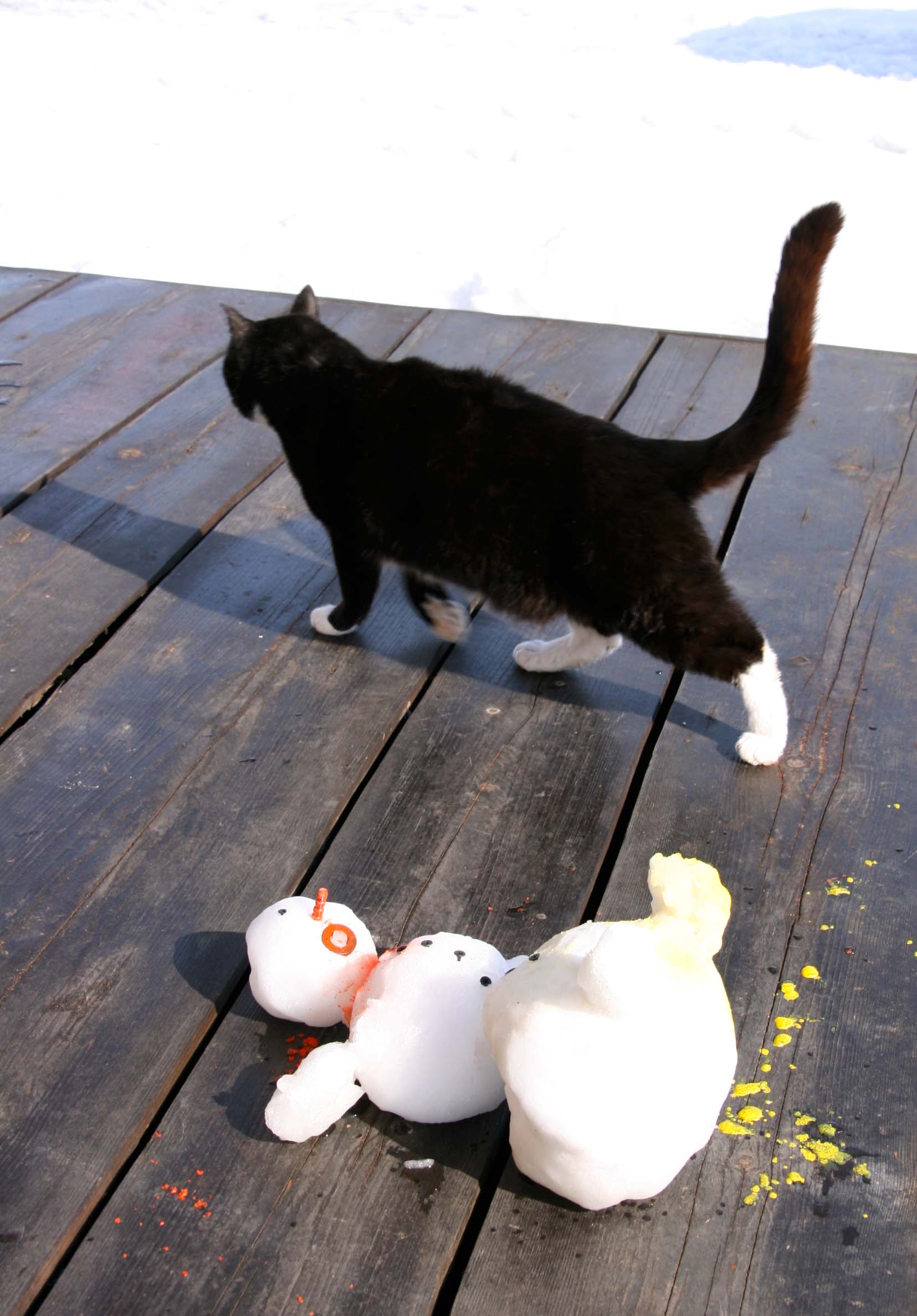 Korsaar asus talve vastu võitlusse