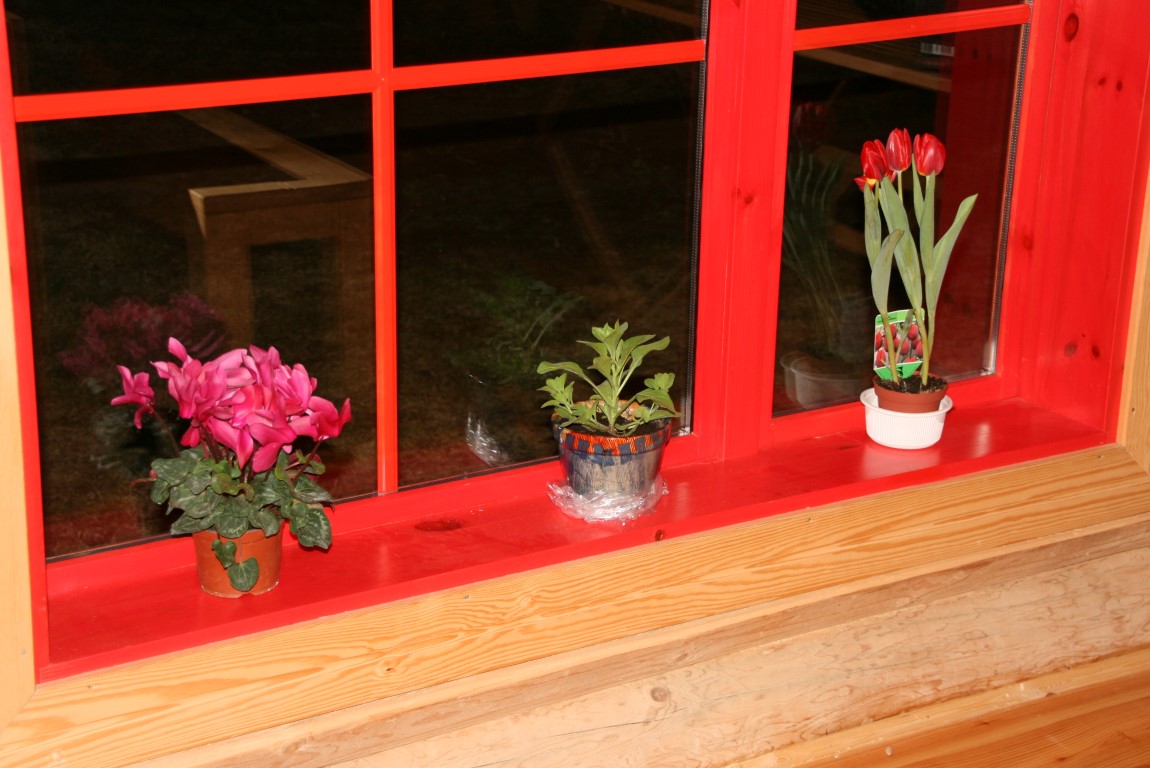 IMG_3222 _Medium_.JPG