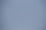 IMG_4791 _Medium_.JPG