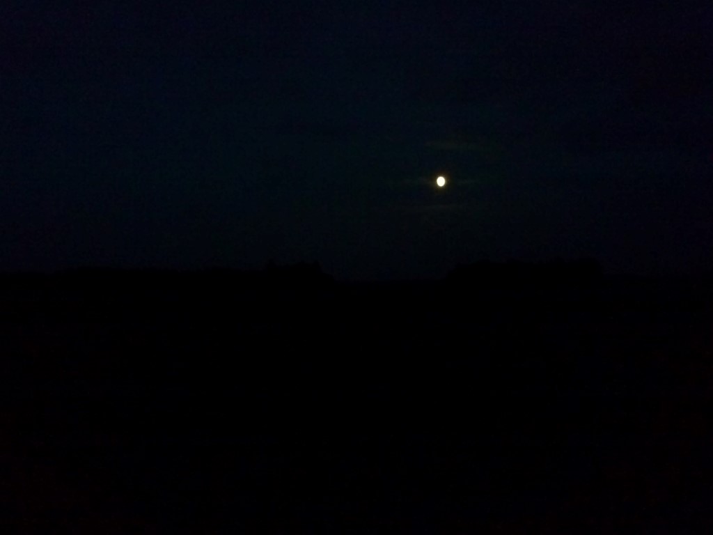 Kert pani  maha rajamärke (pildil umbes all vasakus nurgas)