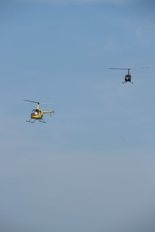 IMG_5698 _Medium_.JPG