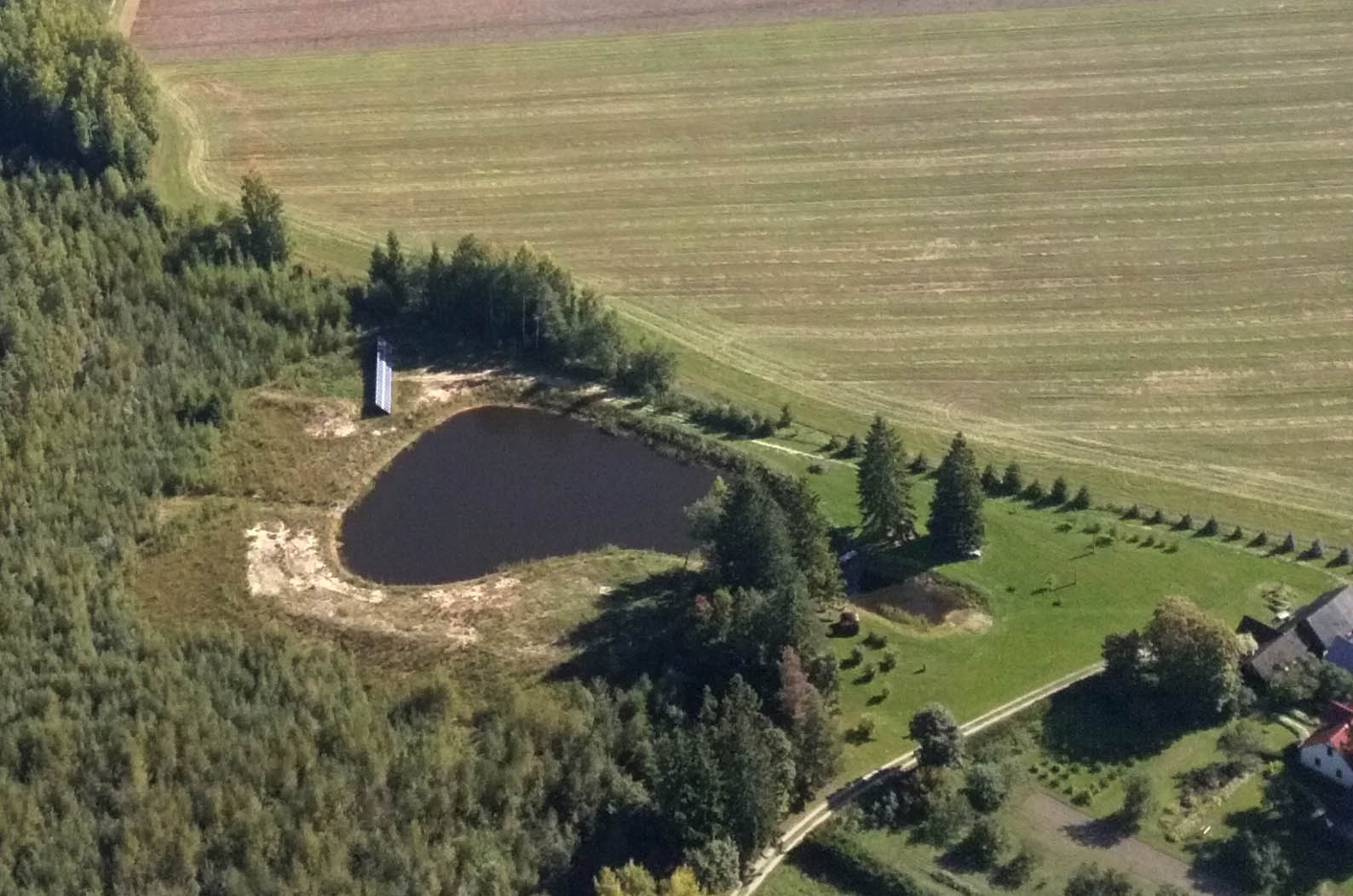 Lepakas toodab päikesest särtsu