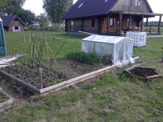 CAM02717 _Large_.jpg