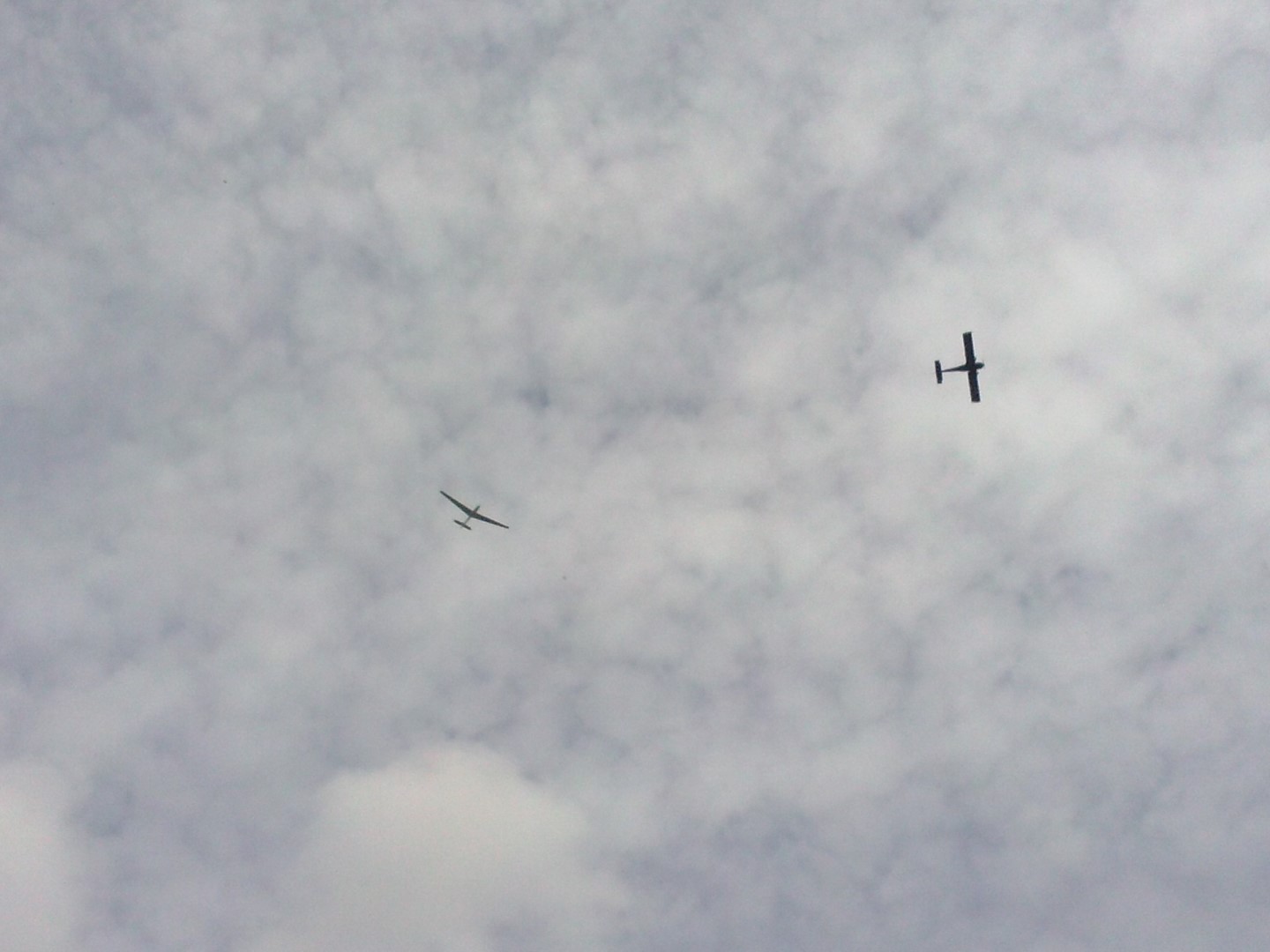 CAM03095 _Large_.jpg