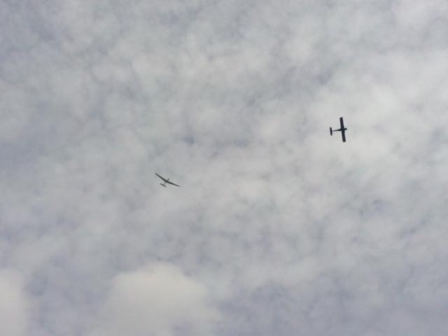 CAM03095 _Large_.jpg