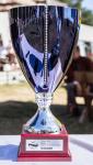 20150816-_mg_3737
