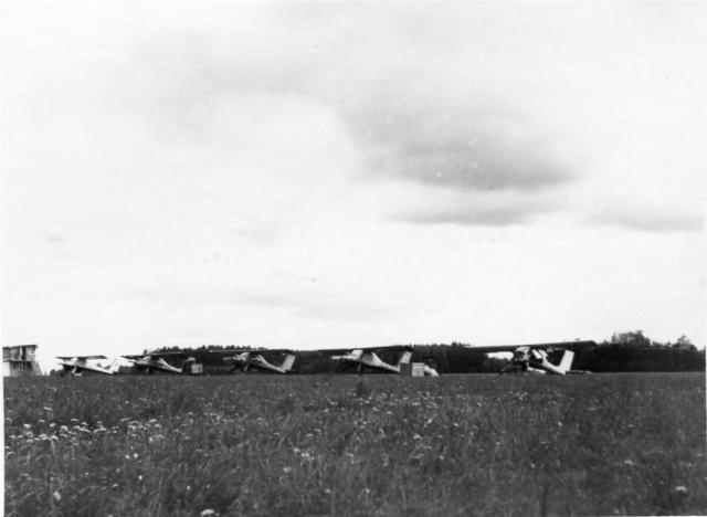 img176 _Medium_.jpg