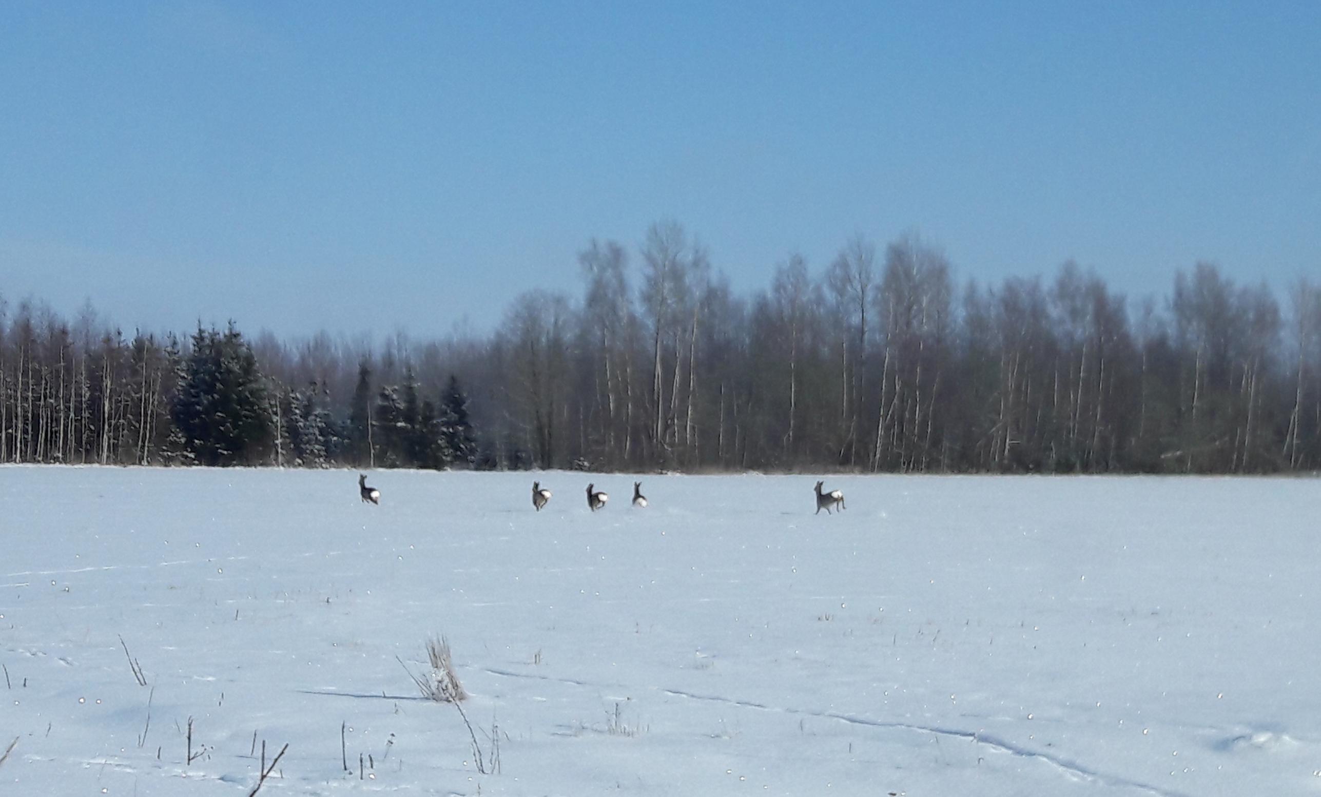 20180224_113655.jpg