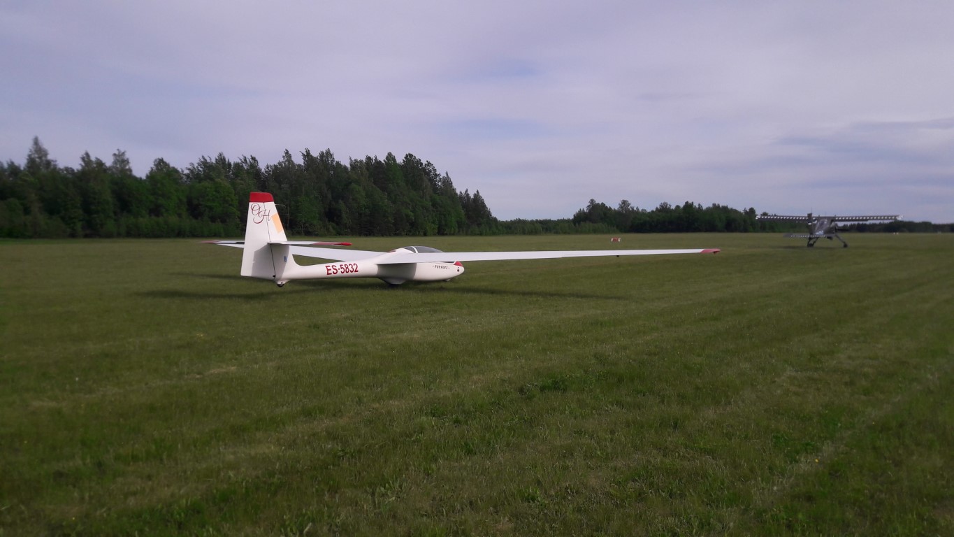 20190601_173536 _Medium_.jpg