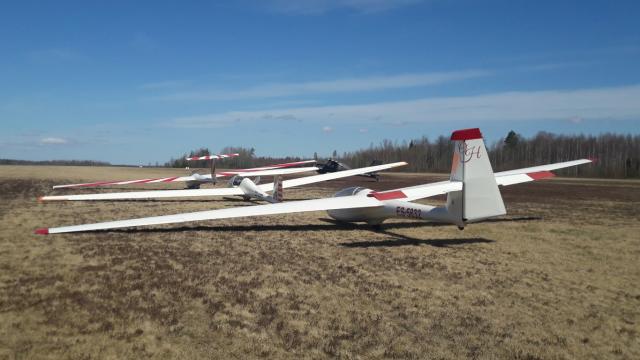 20200423_131103.jpg