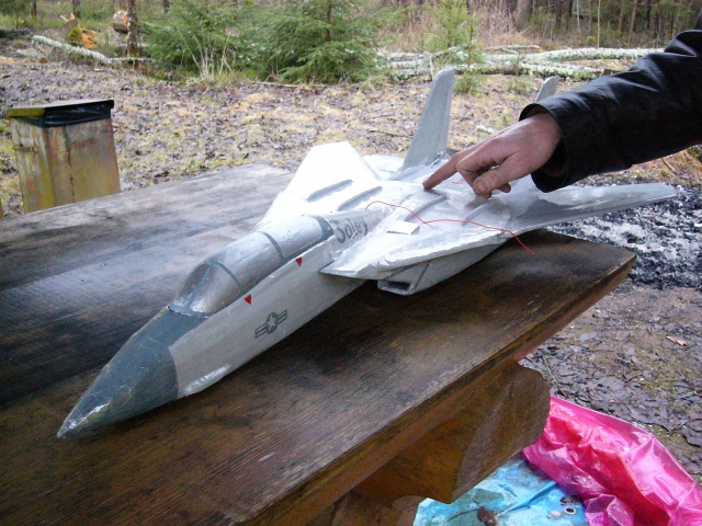 Vist F-14, muutuva noolsusega tiib