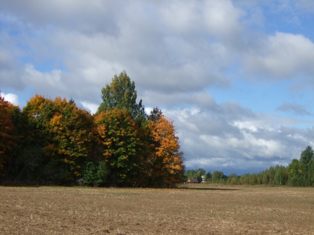 Ridali 24. septembril