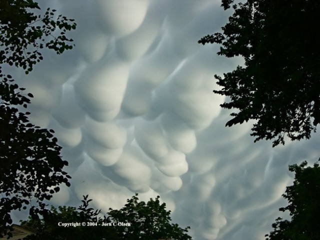 mammatus1