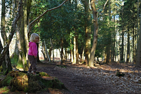 New Forest