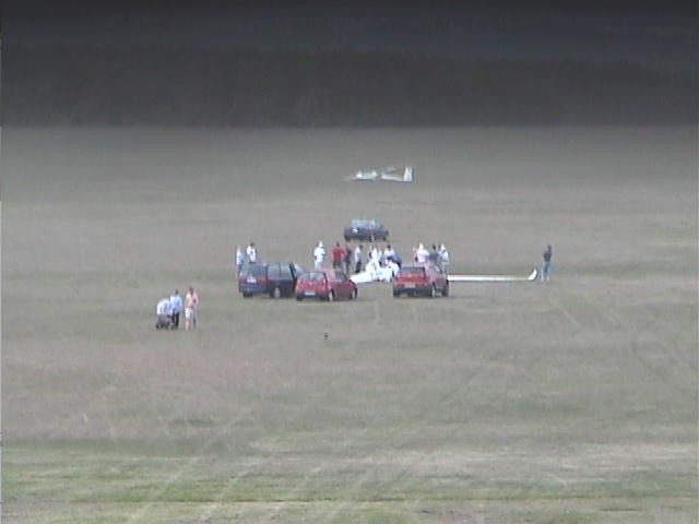 Ls-8