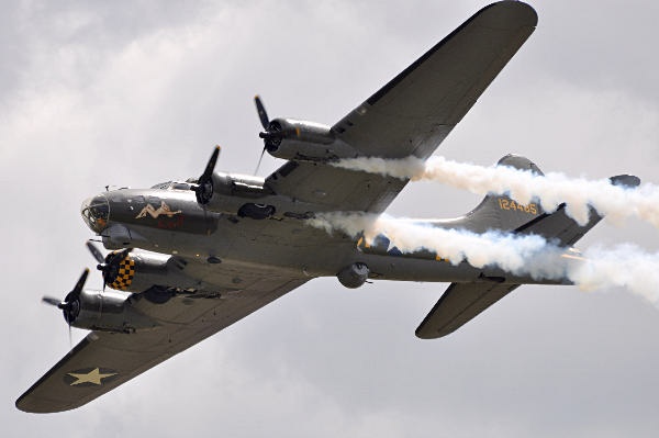 Sally B