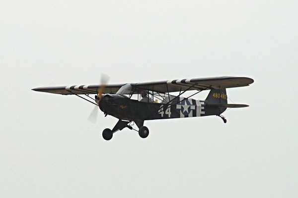 Cub Cub