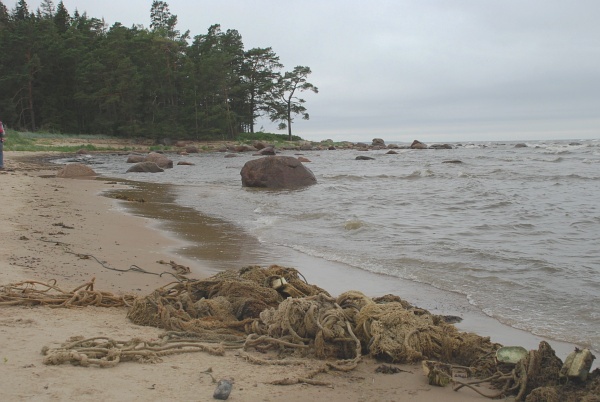 võrgupusa rannal